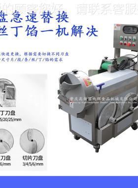 零售不锈钢双切菜机商用切机堂变频切菜菜头机静音TXV切食菜机