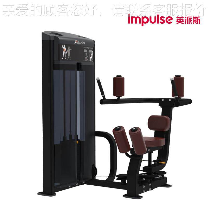 IF9318IF18商用坐3干式躯转动练习机坐姿转体扭腰健身9房训练器械