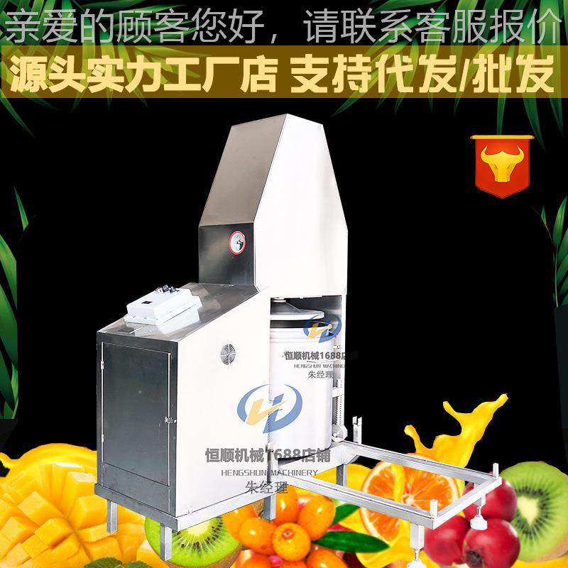 HS-300L定制压玫瑰果鲜花饼榨汁机 商用大型子汁榨取榨机 桑葚酒,机械设备,过滤设备,淘宝优惠券,粉丝福利购,淘宝优惠卷