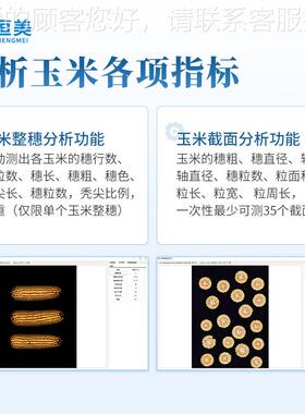 玉米考分析系统玉米穗截面分析水粒稻小整麦考种测种定千重HM-KZ0