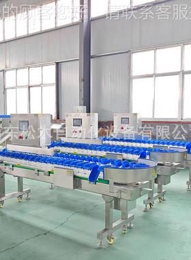 能爪 多功副食产品分鸡拣线机 全自动料盒式重量分SM-FX05选流水