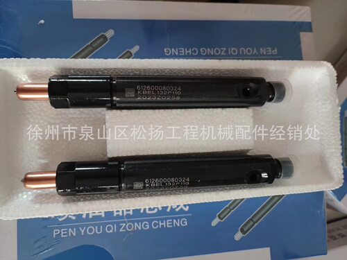 0445120391 潍柴喷油器612630090055批发