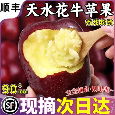 宝宝辅食！天水花牛苹果粉糯香甜