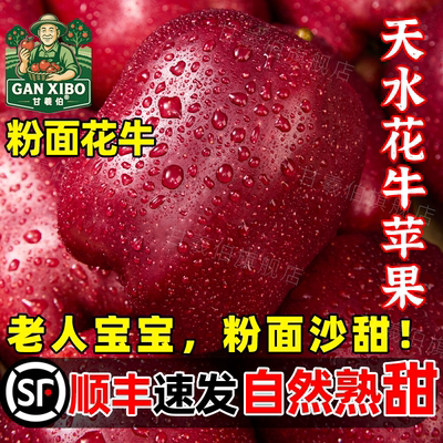 顺丰甘肃天水花牛苹果蛇红果婴儿老人宝宝粉面沙甜新鲜苹水果10斤