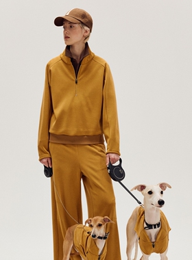 ZZE 「Fur Cozy」半拉链绒感宽松卫衣 立领黄色暖绒秋冬遛狗上衣