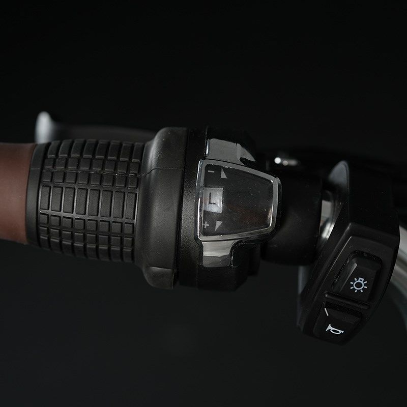 凤凰20寸锂电池小型新国标电助力自行车男女通勤电动自行车电单车