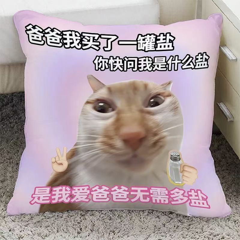 ins可爱抽象猫咪父亲节抱枕送爸爸节日生日礼物客厅沙发装饰靠垫