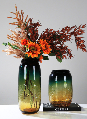 彩色艺术玻璃花瓶摆件客厅餐桌茶几玄关电视柜水培T插花花器装饰