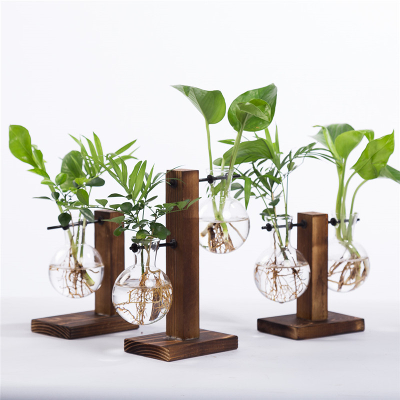 创意水培植物绿萝办公室内桌面小清新绿植盆栽花卉玻璃瓶木架摆件