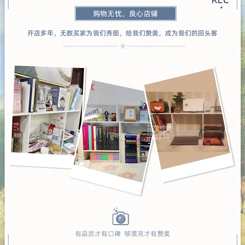 书桌上桌上分层置物架台面r台上桌面小书架多功能收纳储物架WW263