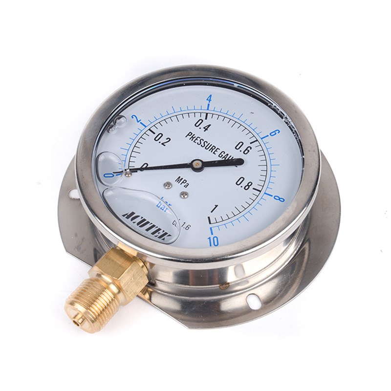 径向带边耐震压力表 YN100T 1MPBA 20*1.5 船用 防震 抗震压力表