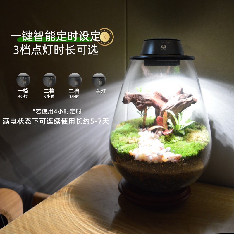 全光谱微景观植物补光灯仿太阳苔藓植物生长灯玻璃瓶生态瓶植物灯