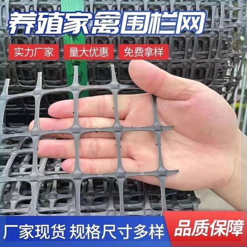 养殖网玉米网塑料网塑料围栏网养鸡网果园围栏防护网特厚新款鸡网