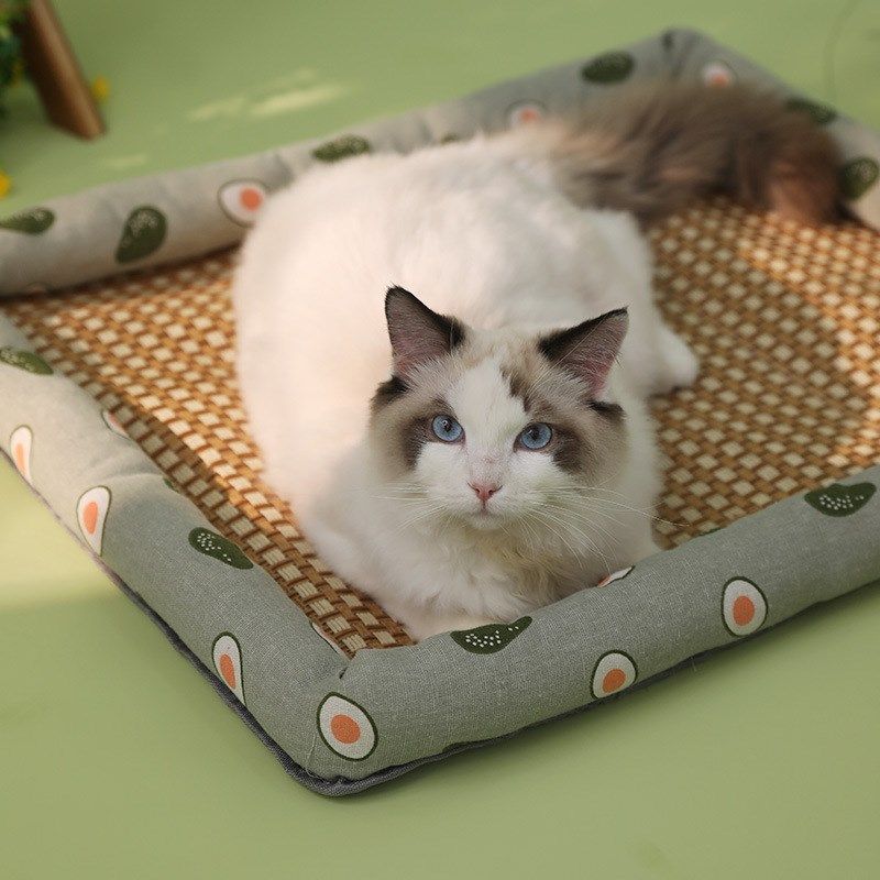 狗窝猫窝宠物夏天凉席窝小型中型犬凉垫狗狗垫子四季通用宠物用品,宠物/宠物食品及用品,猫窝/屋/帐篷/沙发,淘宝优惠券,粉丝福利购,淘宝优惠卷