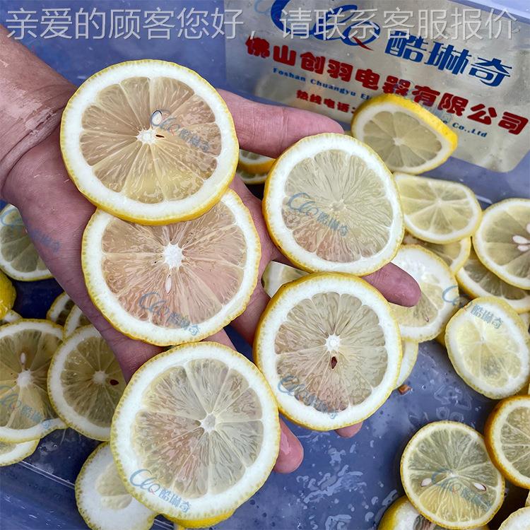 徐县菠分萝切块机 闻片机菠萝果前期分切机VUO酸柠檬甘脯瓜切圆片