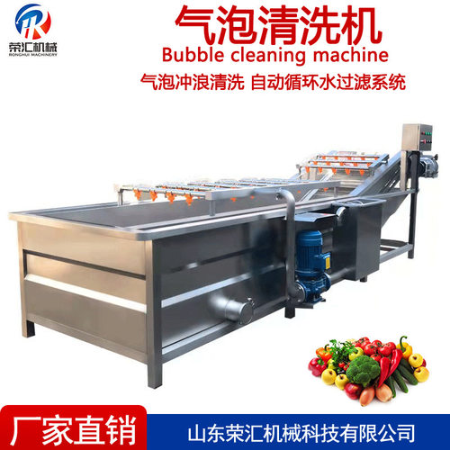 供应全自动气泡清洗机 不锈钢草莓辣椒淋喷式清洗线 净菜加工设备