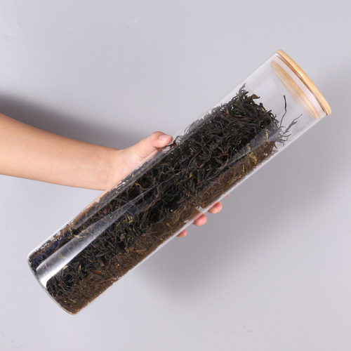 喜茶皇茶玻璃试管茶叶玻璃罐玻璃展示架奶茶店摆设茶叶玻璃密封罐