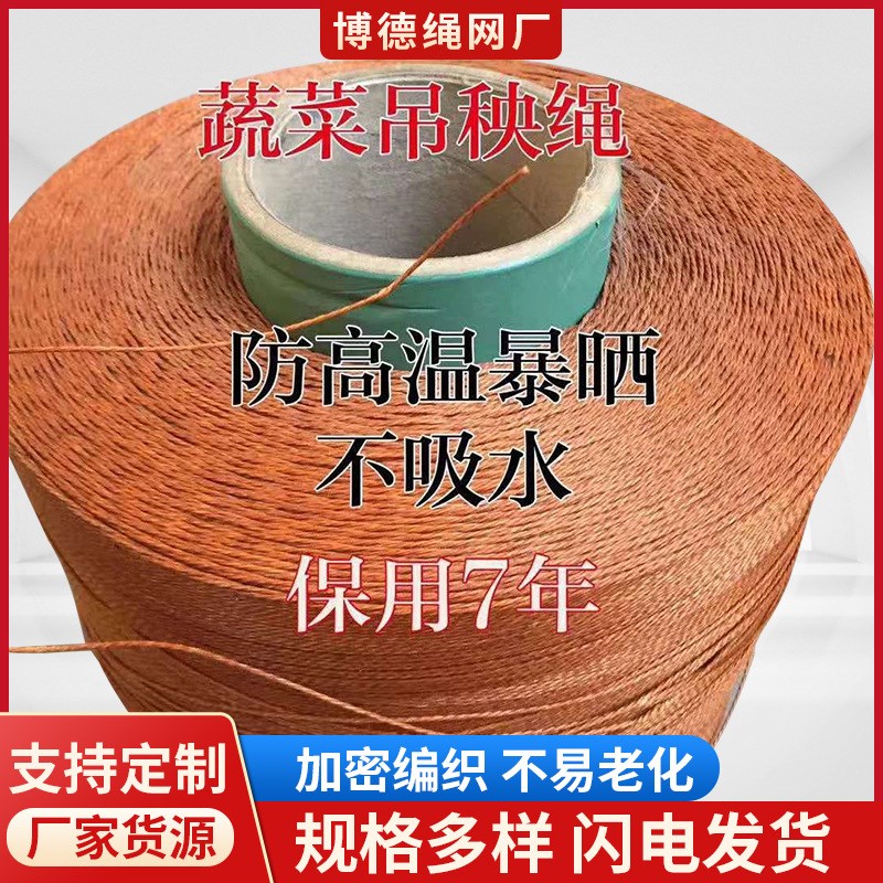 绳子大全吊秧绳挂秧绳吊蔓绳t 1.2-2.5MM大棚蔬菜爬藤轮胎线结实