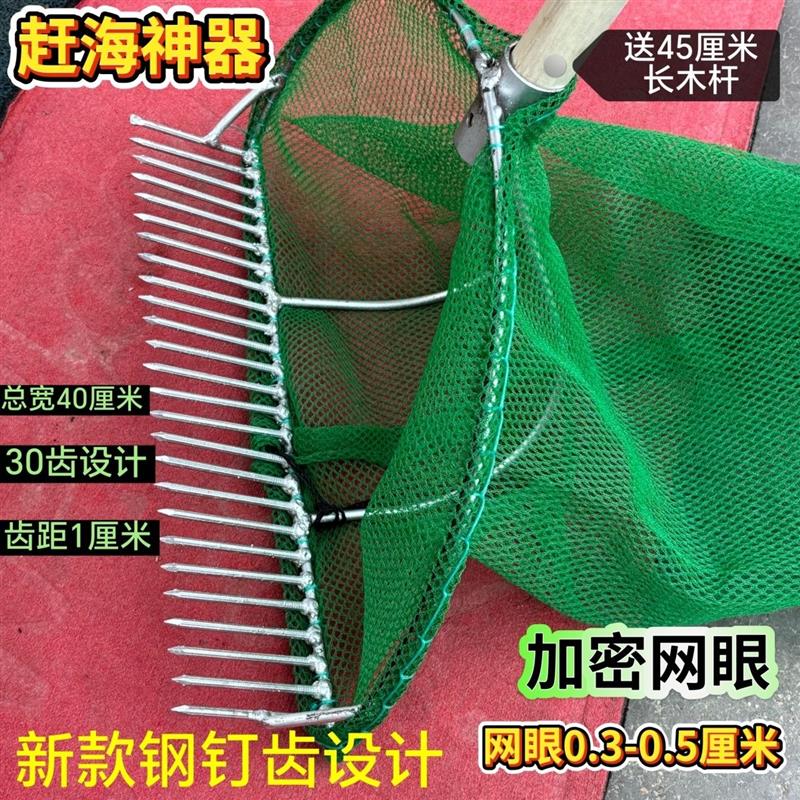 赶海耙子蛤蜊花蛤黄蚬车螺