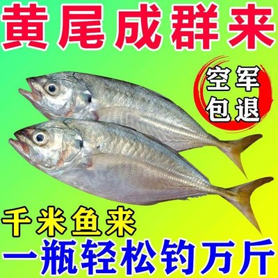 黄尾专用饵料江河湖泊池塘水库野钓专攻黄尾青尾鱼腥香开口诱食剂