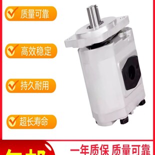 CBG2063 打包机齿轮泵CBG2100 B2F2 CBG2100 BFXL BFX