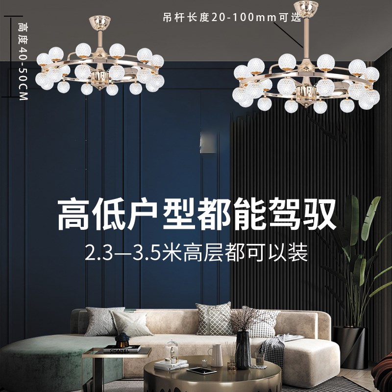 轻奢风扇灯客厅餐厅卧室一体吊扇G灯变频铜电机遥控语音控制