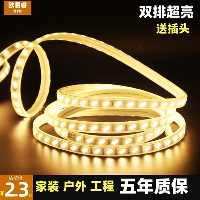 LED灯带户外防水超亮双排三色变光led灯条家用装220v吊顶客厅线灯