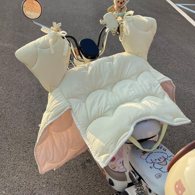 电动车挡风被四季通用冬季加大加厚G侧翼双面防水春秋电车防风罩