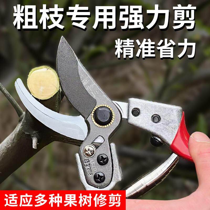 三喜树剪刀修枝剪果树园艺修枝剪专用剪刀花剪园艺剪刀枝剪修枝剪图片