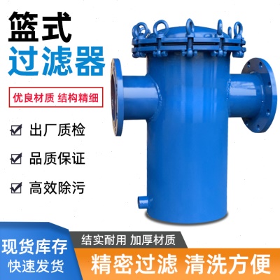 碳钢篮式过滤器直通法兰泳池毛发收集器快开式管道滤网除污器