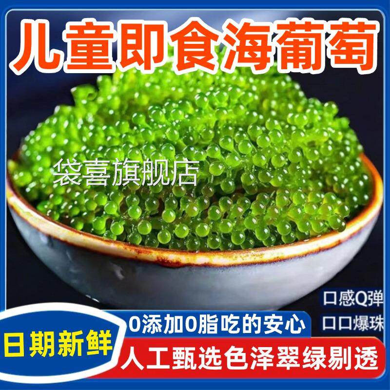 海葡萄新鲜官方旗舰店儿童即食水葡萄绿色鱼子酱海藻凉拌菜水葡萄