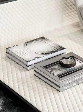 简约现代装饰真书样板房售楼处客厅书柜层架摆件外英文仿真书道具