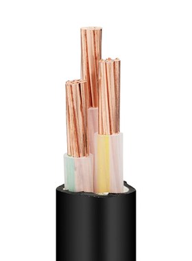 YJY南洋电缆平方铜芯国标阻燃WDZ/WDZN低烟无卤2/3/4/5芯三相四线