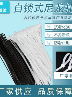 专业经销 8x250mm自锁式尼龙扎带 塑料固定尼龙扎带，塑料扎线带