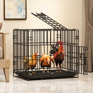 鸡笼子家用养鸡笼大号特大号自动清粪折叠养殖笼鸭鸡舍鸡窝铁丝网