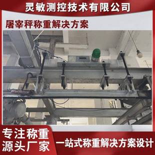 屠宰场轨道秤称重解决方案悬轨单双吊秤商用静动态自动挂钩电子秤