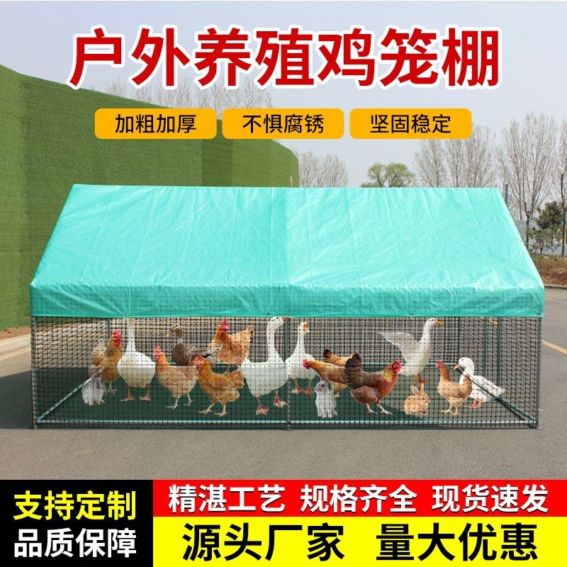 户外鸡棚鸡笼子养鸡鸭鸽笼家禽大型孔雀篷遮雨鸡舍搭建家用养殖笼,宠物/宠物食品及用品,宠物鸡/鸭/鸽笼,淘宝优惠券,粉丝福利购,淘宝优惠卷