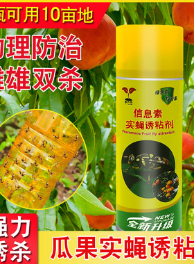 瓜果实蝇诱粘剂果树园昆虫果蝇药黄色双面粘虫板针蜂引诱剂诱捕器