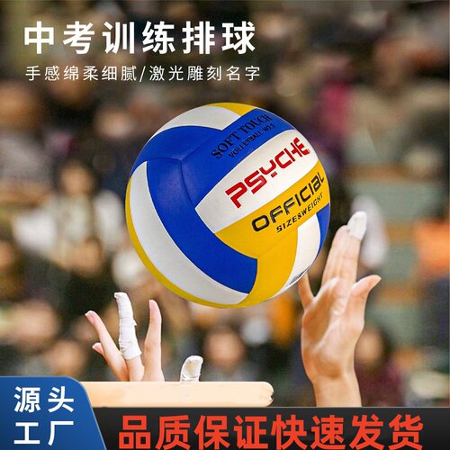 PSYCHE标准5号中考中小学