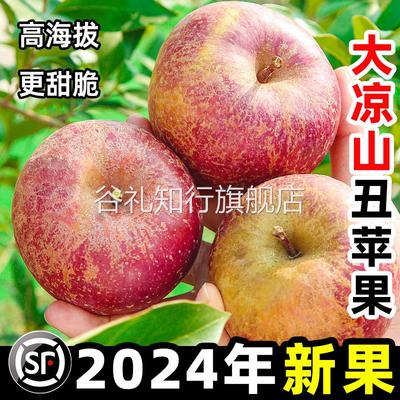 四川大凉山丑苹果冰糖心新鲜水果当季整箱包邮10斤盐源红富士平果