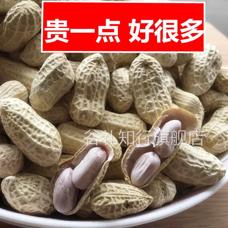 2024新龙岩水煮花生五香白晒干盐水煮咸干湿烤500g带壳熟零食特产