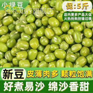 新货绿豆小绿豆 5斤农家自产发新鲜豆芽夏天熬绿豆汤材料小绿豆粥