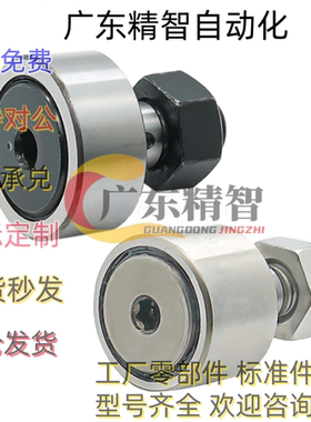 凸轮随动器BPF05 01 02 25-d3 d5 d6 d8 d10 d12 d16 d20 d24A-PP