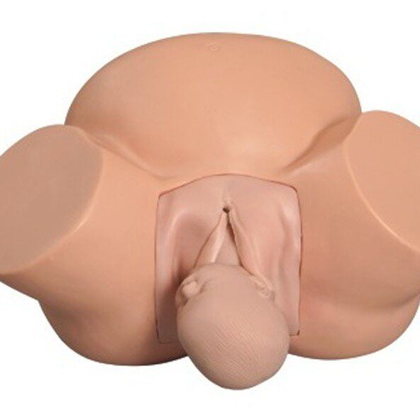 医信MDCD高级助产训练模型女性分娩示教模型骨盆模型婴儿模型