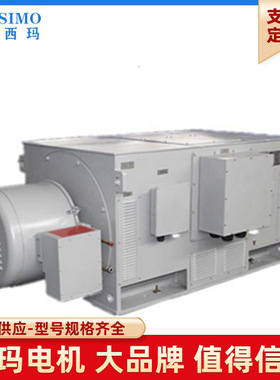 十二级SIMO西玛高压大型电机YRKS系列 YRKS710-12 1120KW 双轴伸