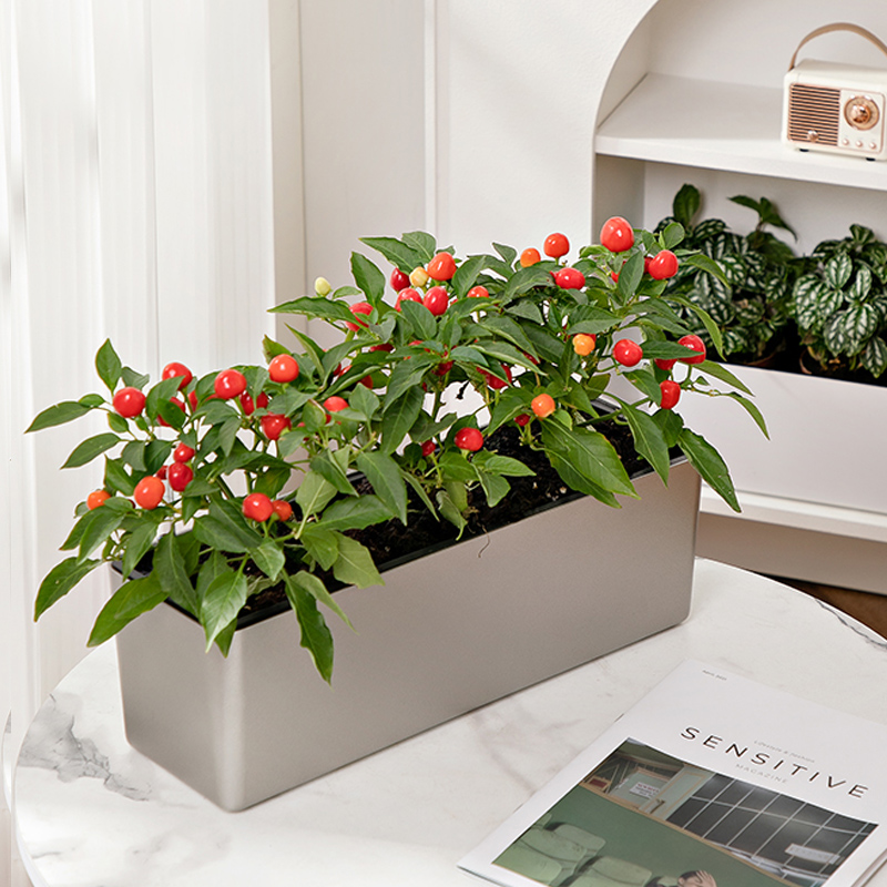 阳台长方形懒人种菜种植箱菜盆种植蔬菜葱专用花盆草莓盆栽种菜盆