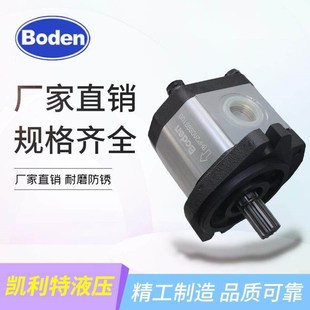 博顿齿轮泵BHP2A0D3 30C0L3