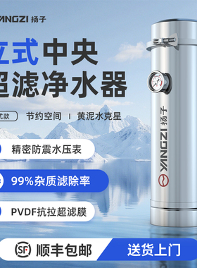 扬子立式全屋中央净水器大流量PVDF手洗膜净水器自来水井水过滤器
