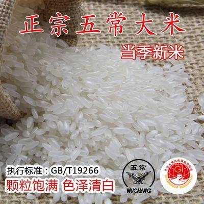 2024年新米上市 正宗五常大米东北稻花香2号五常市直发优质一等