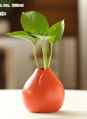 全水培多肉陶瓷花瓶Pothos铜钱草创意桌面家居装饰花盆客厅茶几
